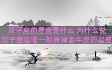 双子座的星盘是什么 为什么说双子座是唯一能毁掉金牛座的星座